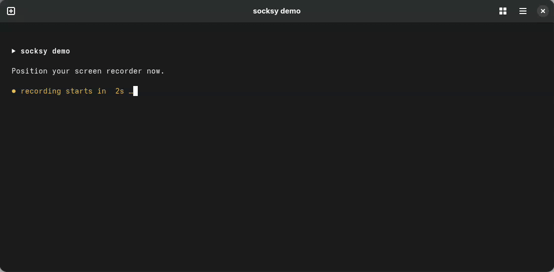 socksy demo showing install, applying an authenticated SOCKS5 proxy, and confirming the exit IP from the terminal